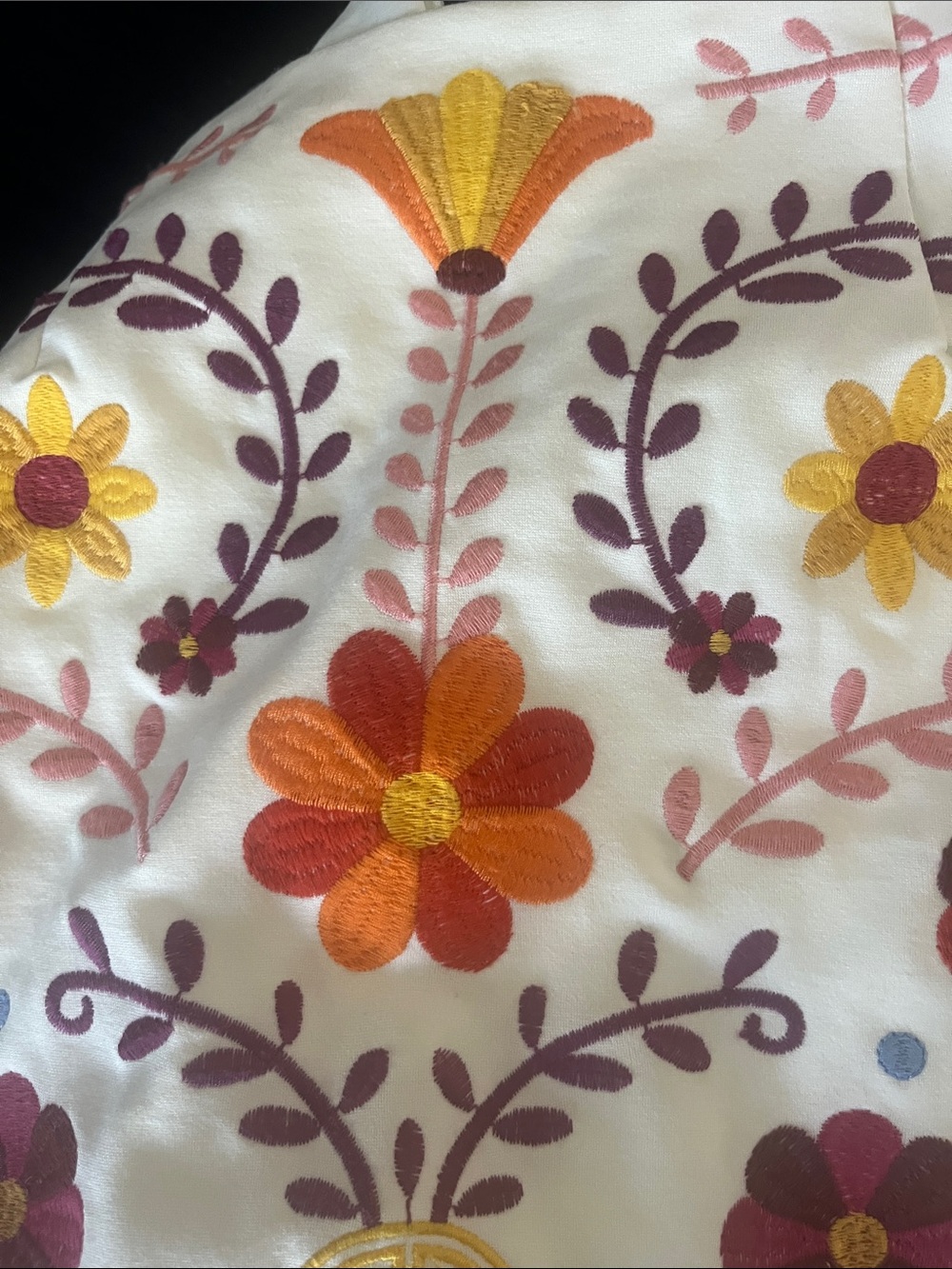 Herencia Clothing Embroidered Skirt - Picture 14 of 15